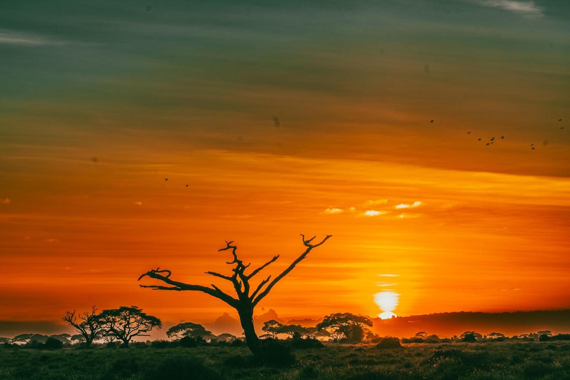 Kilimanjaro View Cabin-Amboseli Oloitokitok Oda fotoğraf