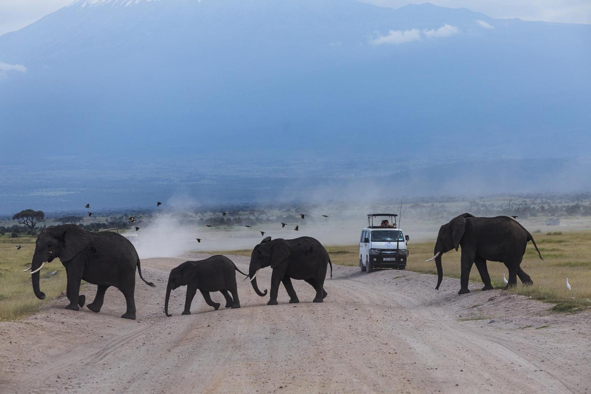 Kilimanjaro View Cabin-Amboseli Oloitokitok Oda fotoğraf