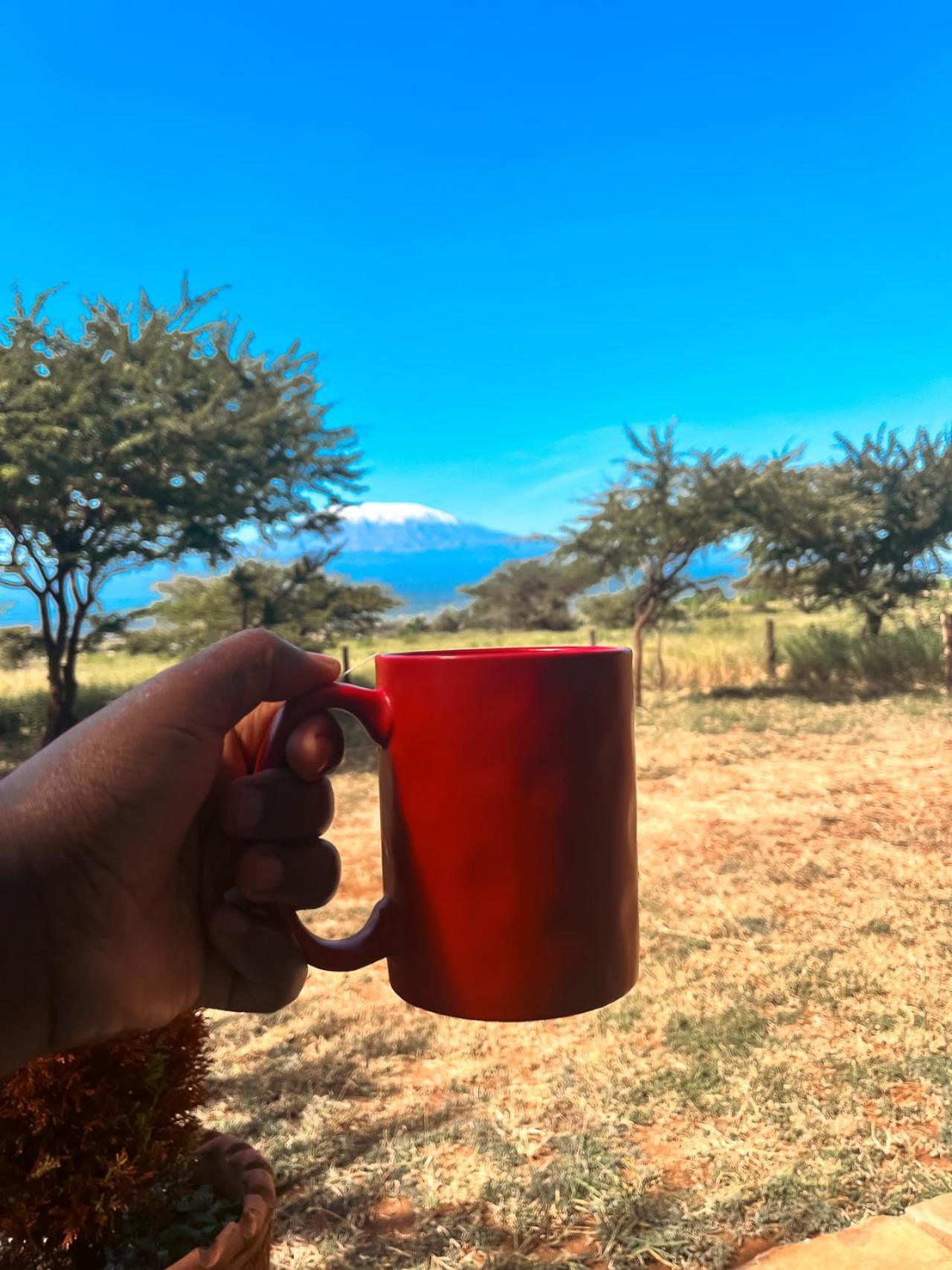 Kilimanjaro View Cabin-Amboseli Oloitokitok Oda fotoğraf